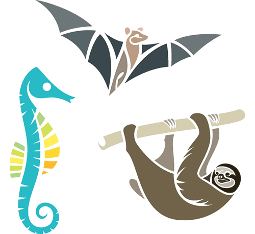 bat, seahorse, sloth