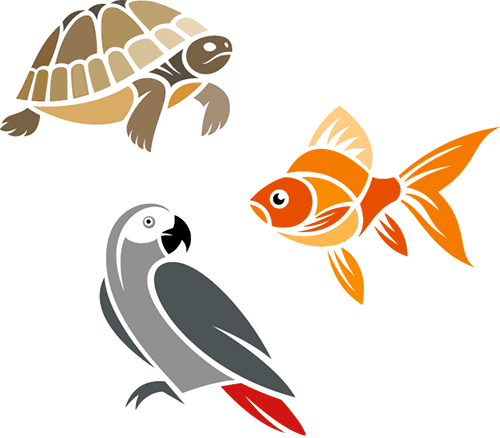 tortoise, fish, parrot