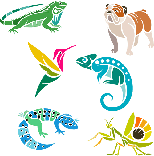 iguana, bulldog, hummingbird, gecko, lizard, mantis